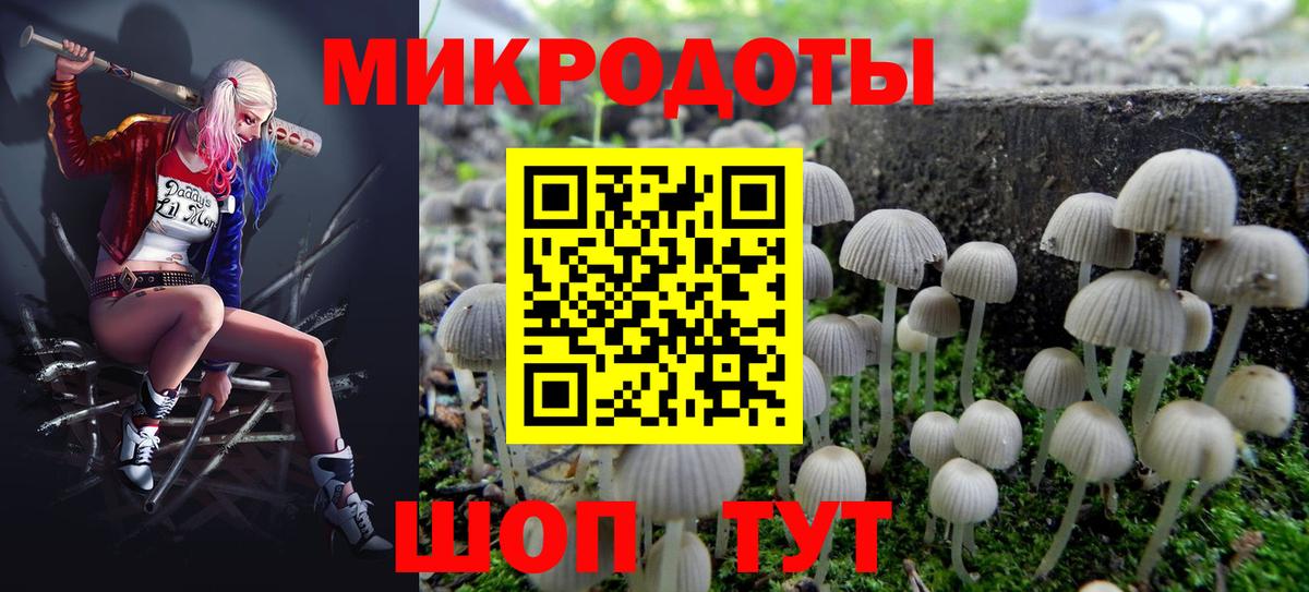 Мыски  Псилоцибиновые грибы GOLDEN TEACHER  цена   Вход с VPN  Галлюциногенные грибы мицелий 