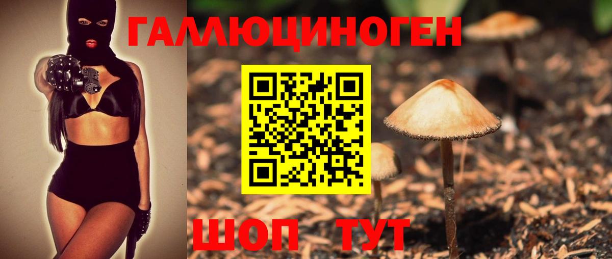 Галлюциногенные грибы Cubensis Мыски